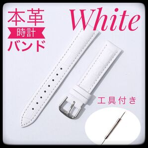 腕時計ベルト 22mm ホワイト 本革 新品未使用 工具付き ばね棒2本付き