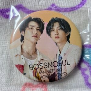 Boss Noeul 缶バッジ アイシングビスケット Love in the Air タイ ファンミ
