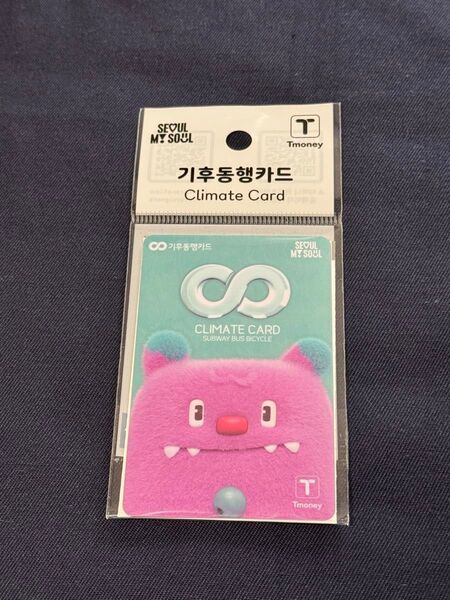 ★★★ 韓国限定 気候同行カード 地下鉄券売機でチャージで乗り放題 未使用 ★★