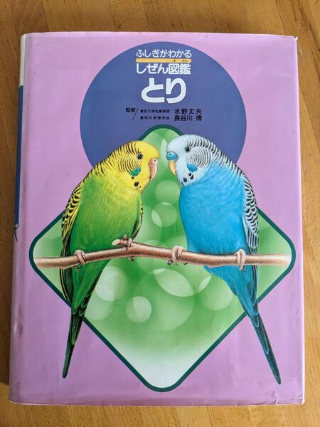 小学館の図鑑NEO ふしぎがわかる しぜん図鑑 とり