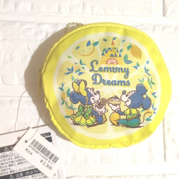 ディズニーリゾート エコバッグ
