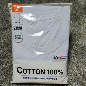 365DAYS メンズ半袖丸首Tシャツ 2枚組 4L ホワイト 新品 未使用