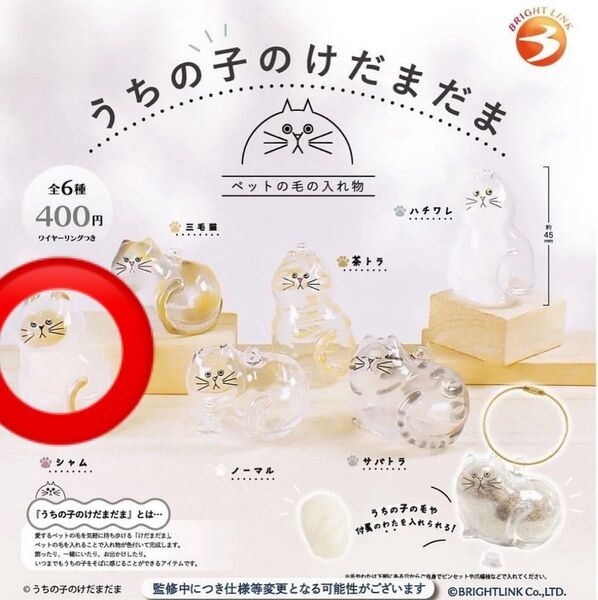 うちの子のけだまだま シャム 新品未使用品