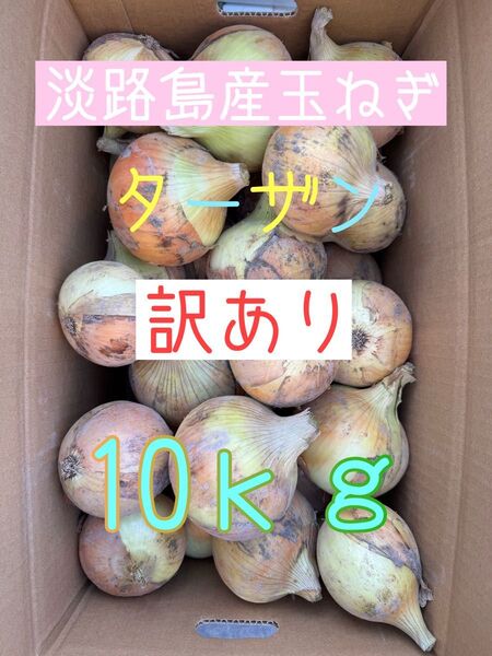 淡路島産玉ねぎターザン訳あり10キロ☆