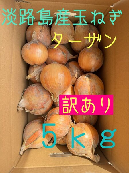 淡路島産玉ねぎターザン訳あり5kg★
