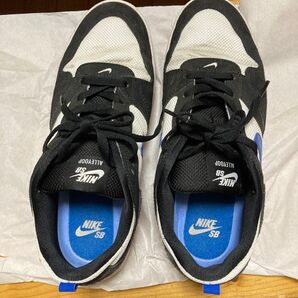 NIKE SB アリウープ スケートシューズ 26㎝