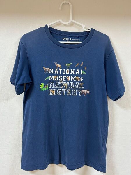 ユニクロ UT キッズ National Museum of Natural History Tシャツ KIDS150
