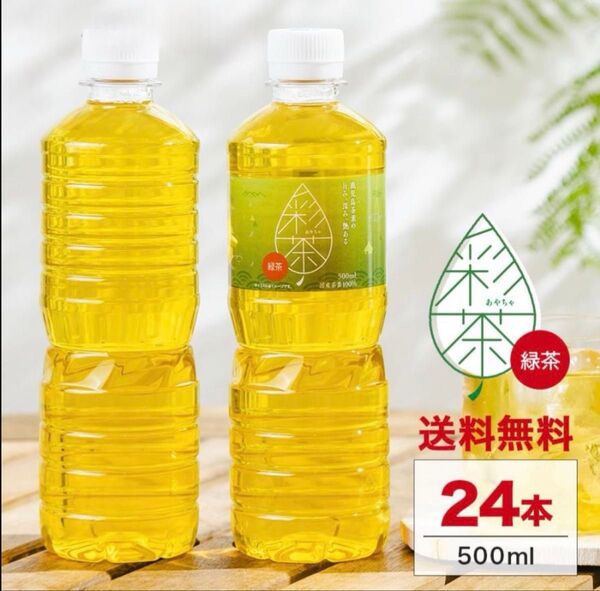 あやちゃ緑茶 24本セット 500ml