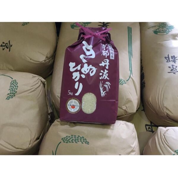 令和6年産【発送2日程度】 契約栽培 京都丹波産きぬひかり100%白米 5kg 数量限定