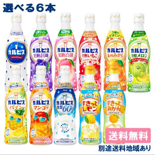 アサヒ カルピス ほっと 原液 希釈用 プラスチックボトル470から 選べる6本セット 6フレーバー選べる