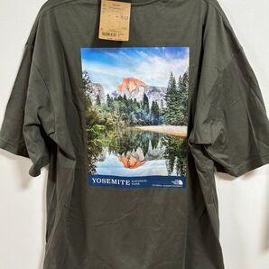 ノースフェイス 新品 tシャツ l