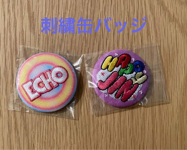 BTS JIN ジン echo 刺繍缶バッジ 韓国マスター 新品