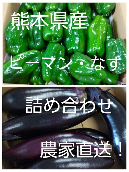 農家直送!採れたてピーマン・なすの新鮮野菜セット
