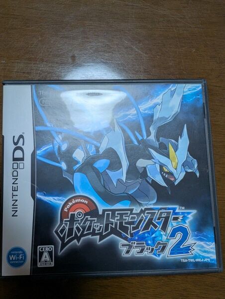 ポケットモンスター ニンテンドーDS ブラック2