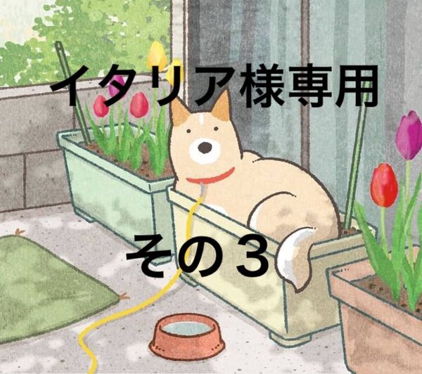 日本通信SIM スターターパック 1回線分 ゆうパケットミニでの配送