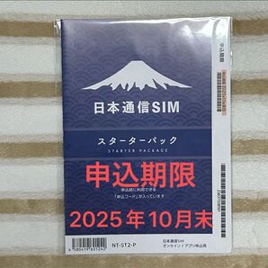 日本通信SIM スターターパック NT-ST2-P 1回線分