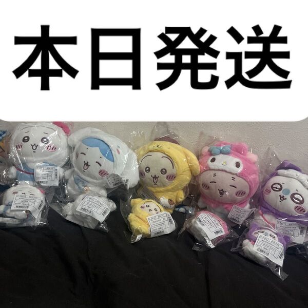 ちいかわ サンリオ ぬいぐるみ マスコットホルダー ちいかわ ハチワレ うさぎ 古本屋 カニ モモンガ 10個セット
