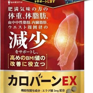 【新品未開封】カロバーンEX 60粒 / 30日分