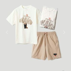 ※最終値下※【美品】イカクパワードライリラックスセットアップ Mサイズ