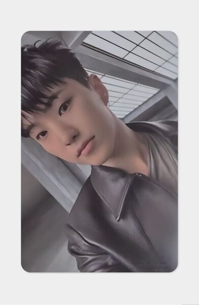 SEVENTEEN HBD beatroad ラキドロ 2次 ホシ トレカ