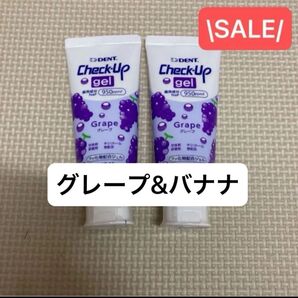 ライオン チェックアップジェル チェックアップ フッ化物配合ジェル フッ素ジェル フッ素