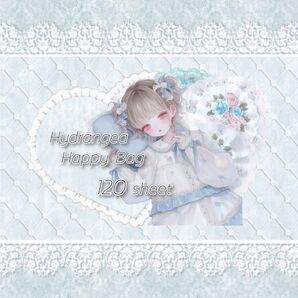hydrangea Happy Bag 24