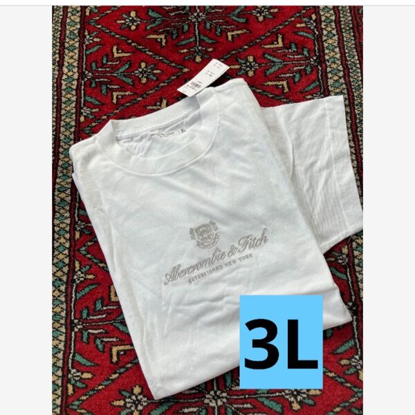 【新品未使用】3Lサイズ▼アバクロ▼半袖Tシャツ 総刺繍 高級 Tシャツ 白 半袖Tシャツ ホワイト 半袖