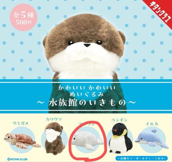 キタンクラブ かわいい ぬいぐるみ 水族館のいきもの ガチャガチャ ガチャ あざらし