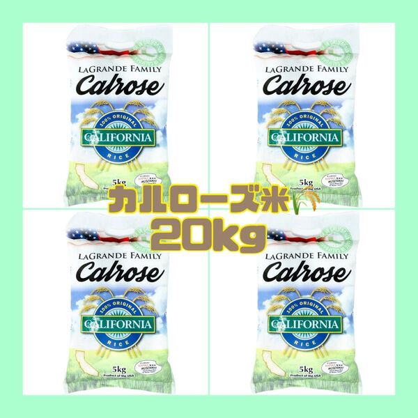 ★即日発送★特別価格☆コストコ☆ 無洗米 ラグランデファミリー カルローズ米 5kg ×4袋 20kg
