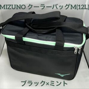 MIZUNO クーラーバッグM(12L) ブラック×ミント 1FJYC303