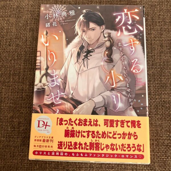 恋する小リス、いりませんか? (新書館ディアプラス文庫 603) 小林典雅/著
