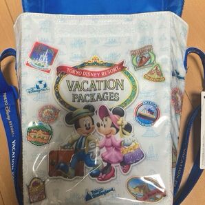 ディズニー バケーションパッケージ ポップコーンケース