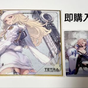 勝利の女神 NIKKE ガンガールメタルカードコレクション ミニ色紙 ルドミラ ウィンターオーナー 冬ミラ