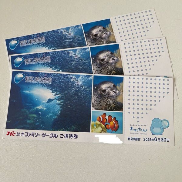新江ノ島水族館 招待券 3枚セット