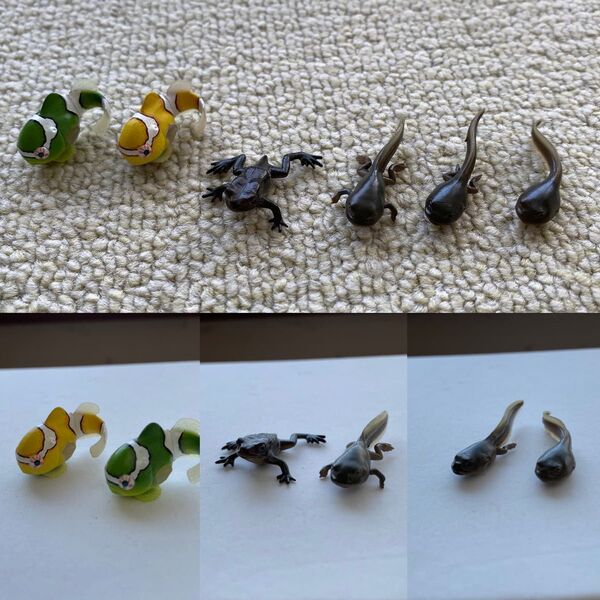 ネイチャーテクニカラー【フィギュア】レア!おたまじゃくし!ダンゴウオ!マグネット!入手困難!