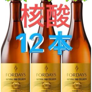 【フォーデイズ】フォーデイズ ナチュラルDNコラーゲン 核酸ドリンク 12本