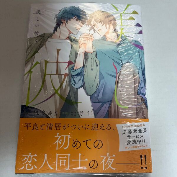 新刊未開封 美しい彼 5巻 北野仁 凪良ゆう