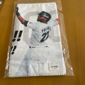 ロッテマリンズ 応援歌フェイスタオル #22グレゴリー・ボランコ