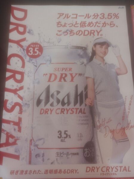 橋本環奈 両面印刷大型ポスター2枚セット