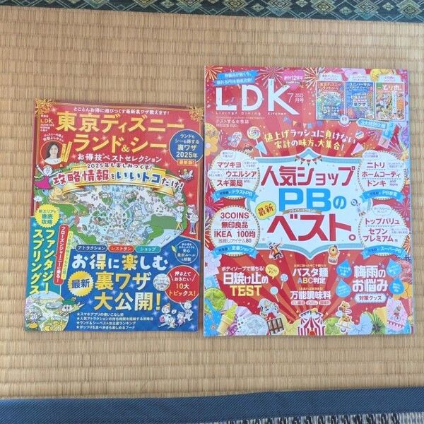 雑誌 LDK 2025年 7月号 最新号