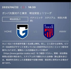2025/06/22 18:30ガンバ大阪対FC東京 明治安田J1リーグ明治安田J1パナソニックスタジアム吹田