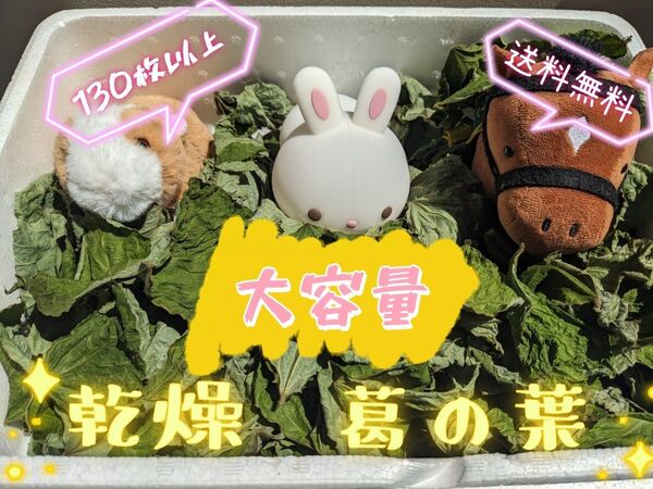 【大容量】葛の葉(乾燥)150枚以上 50g以上 送料無料 匿名配送