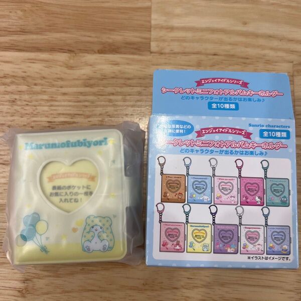 サンリオキャラクターズ シークレットミニフォトアルバムキーホルダー A サンリオ sanrio まるもふびより