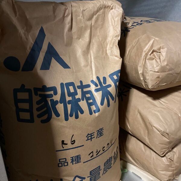 【新米】千葉県産 こしひかり お米 2kg 令和6年度産 玄米