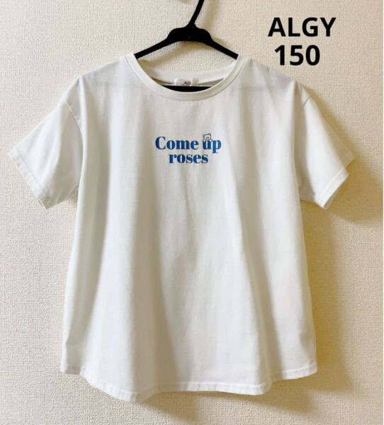 【サイズ150】アルジーTシャツ 半袖Tシャツ ホワイト