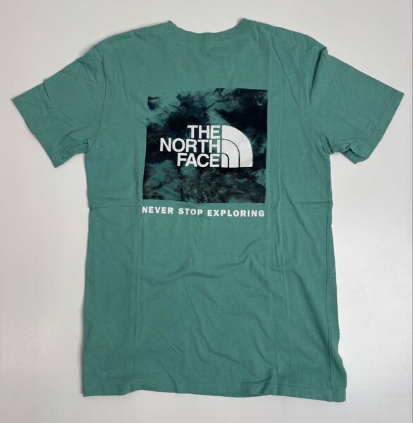 THE NORTH FACE ノースフェイス Tシャツ メンズ S ボックスロゴ ハーフドーム ミントグリーン 美品