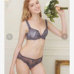 未使用 ブラデリス ニューヨーク BRADELIS NY ニコルブラ 70DパンティL