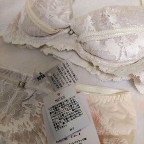 ブラデリス ニューヨーク BRADELIS NY ヴァレリーブラ 70C パンティM