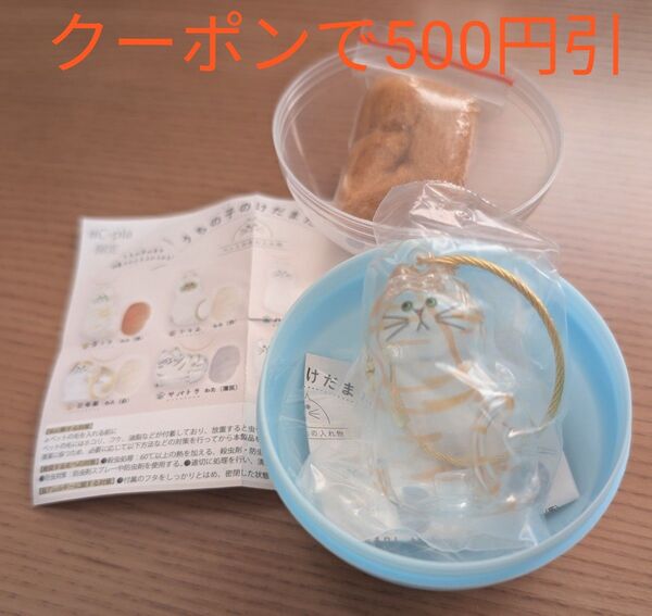 うちの子のけだまだま 茶トラ