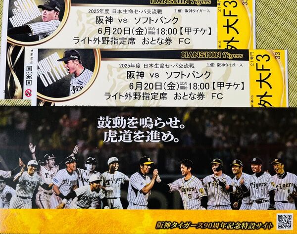 6/20 阪神×ソフトバンク ライト外野指定 連番 甲子園